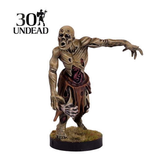 undead_zombies_regiment_30_figures_c.jpeg